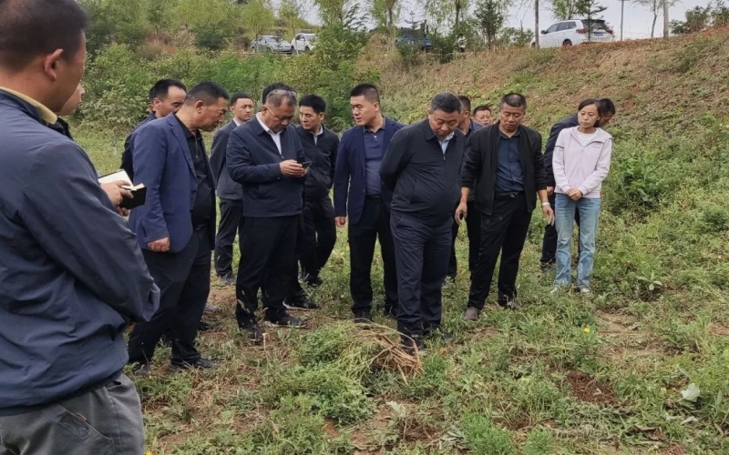 天水市政協(xié)副主席、清水縣委書記馬越垠到“榮程百草莊園”中藥材試驗基地調研中草藥產業(yè)發(fā)展工作