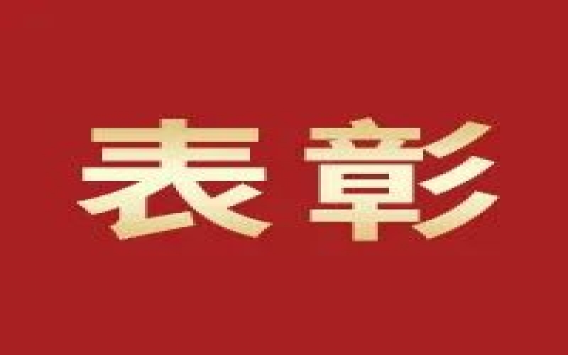 奮進(jìn)2023，這些集體和個(gè)人無上“榮”光