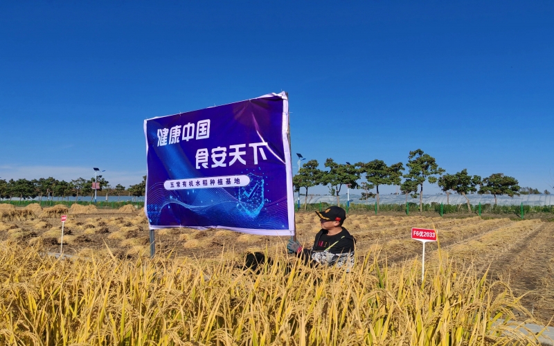 榮程集團：一?！胺N子”的新?lián)?dāng)
